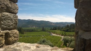 WP_20150712_11_34_44_Pro