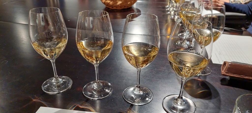 Samppanja sokkotasting