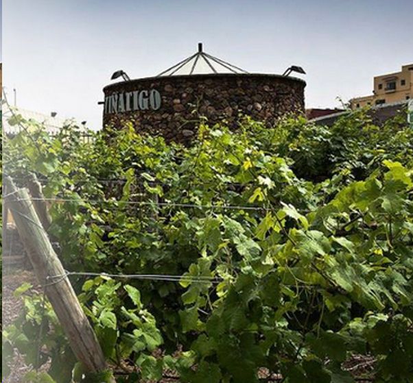 Teneriffa tasting 23.11.2023